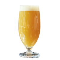 HAZY IPA -Green-